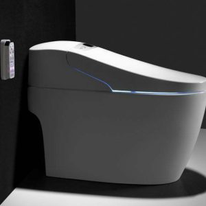 Evolve Smart Intelligent integrated P-Trap Toilet with Foot Sensor to open /close Seat, Bidet Control, Thermostatic Controlled Water Outlet, Warm Seat, Remote Controlled