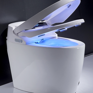 Evolve Smart Intelligent Toilet – P-Trap – Dryer Flush Remote Controlled